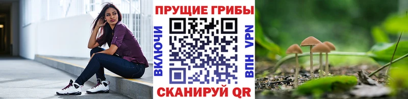 Галлюциногенные грибы мухоморы Кущёвская